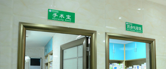 Ժ
